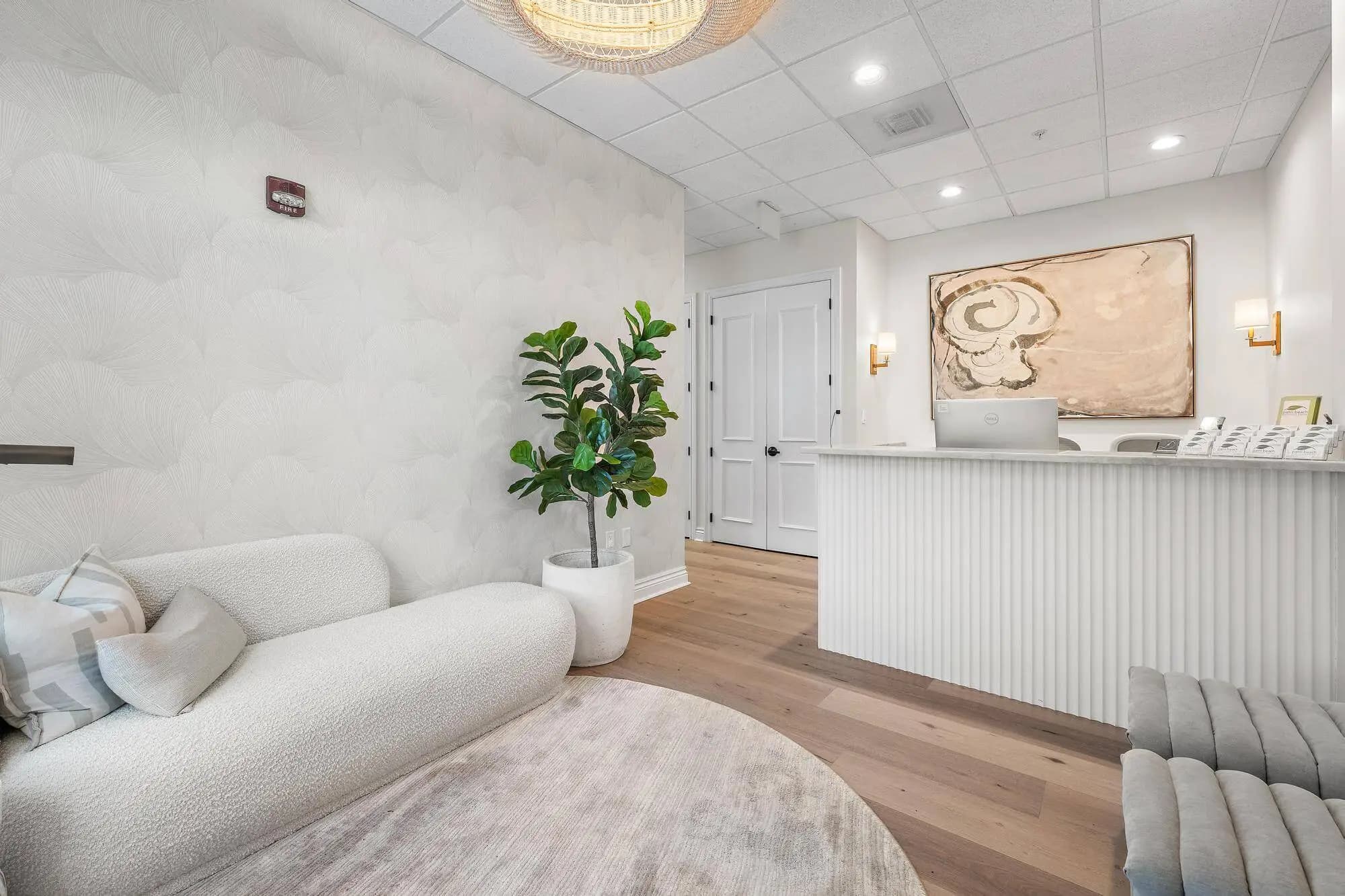 Reception area with cream sofa, indoor plant, and front desk